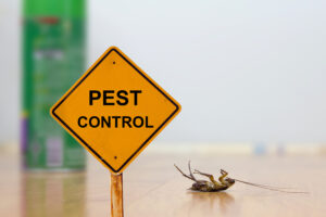 Does My Home Insurance Cover Pest Infestations?